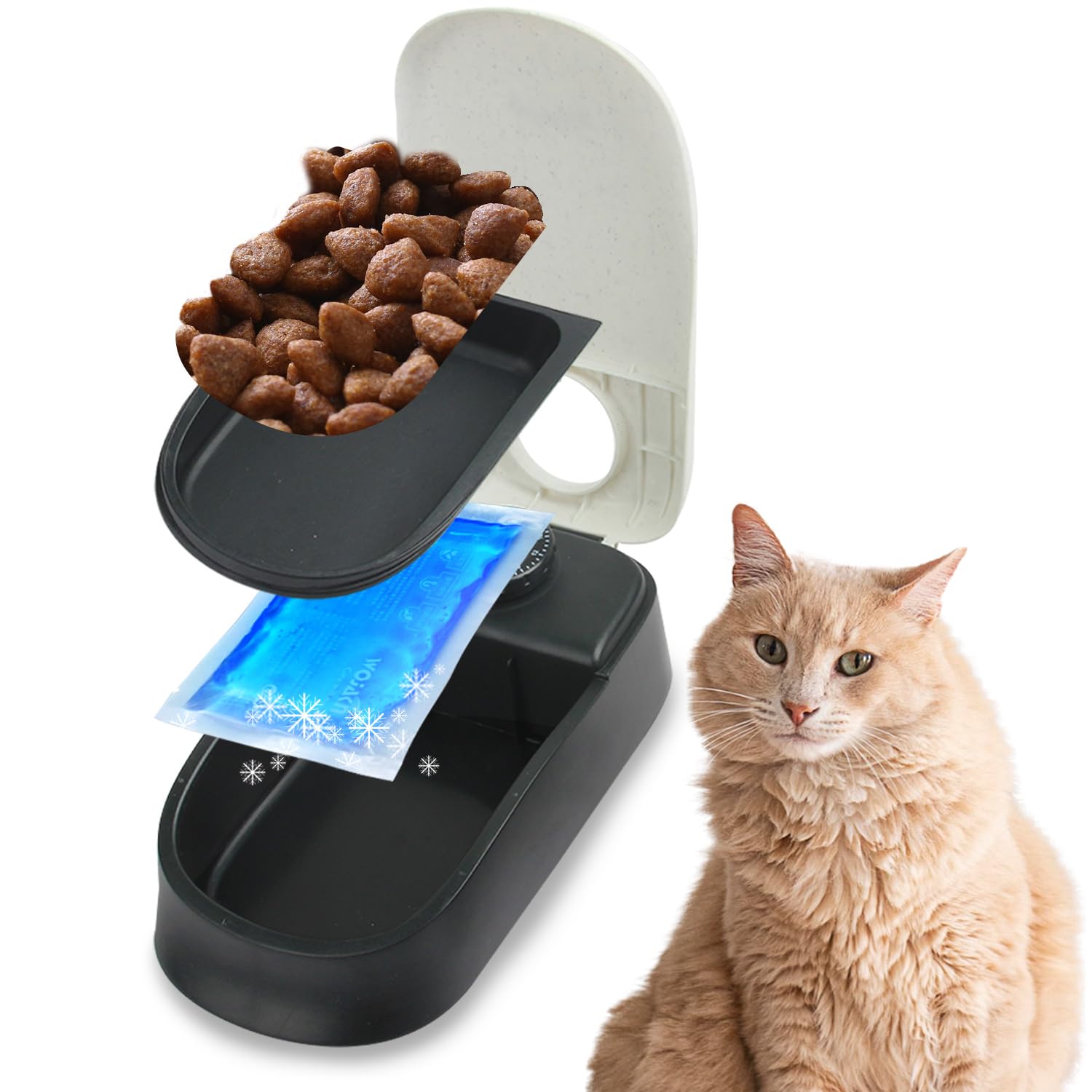 PAWISE Automatic Pet Feeder for Dogs and Cats - 1.5 Cup Smart Food Dispenser with 48-Hour Timer - Perfect for Travel, Workdays & Busy Pet Owners