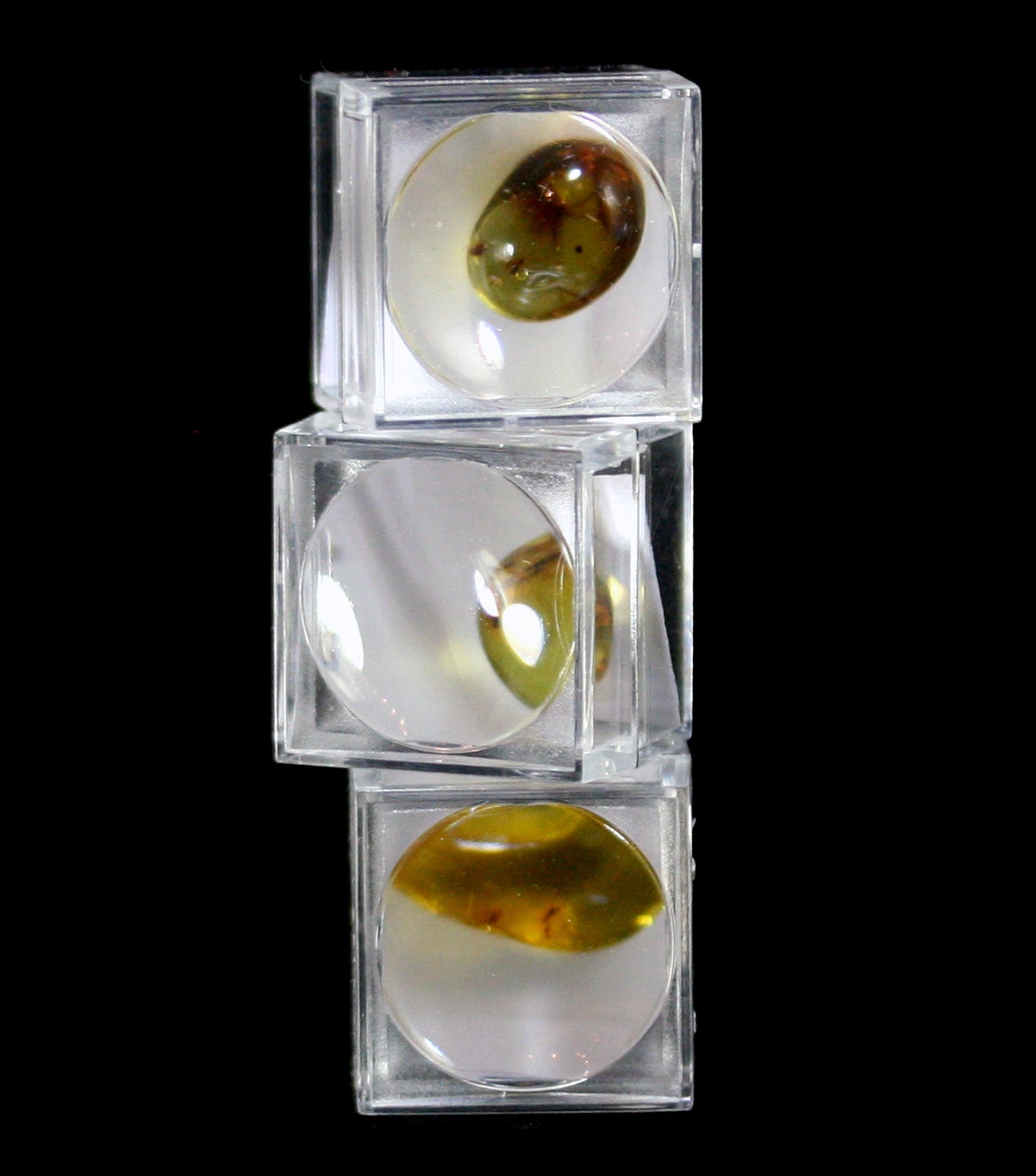Natural Baltic Amber with Real Insect Inclusions - Authentic Fossilized Resin Jewelry for Collectors & Nature Lovers - Perfect for Display, Gifts & Educational Purposes