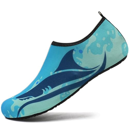 New Shark
