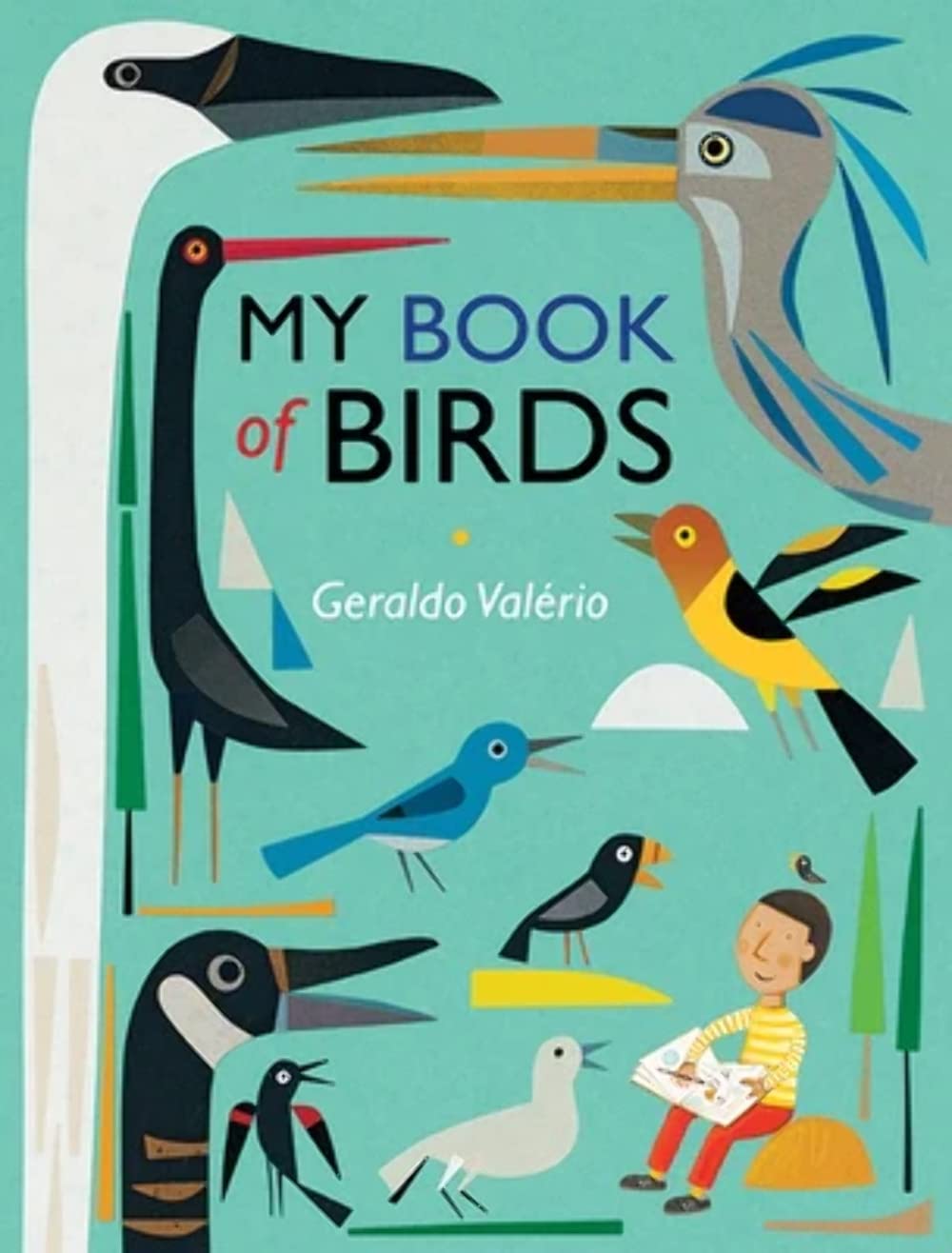 My Book of Birds - Big Books for Little Naturalists | Educational Kids Nature Book for Bird Watching & Learning | Perfect for Homeschooling & Outdoor Adventures