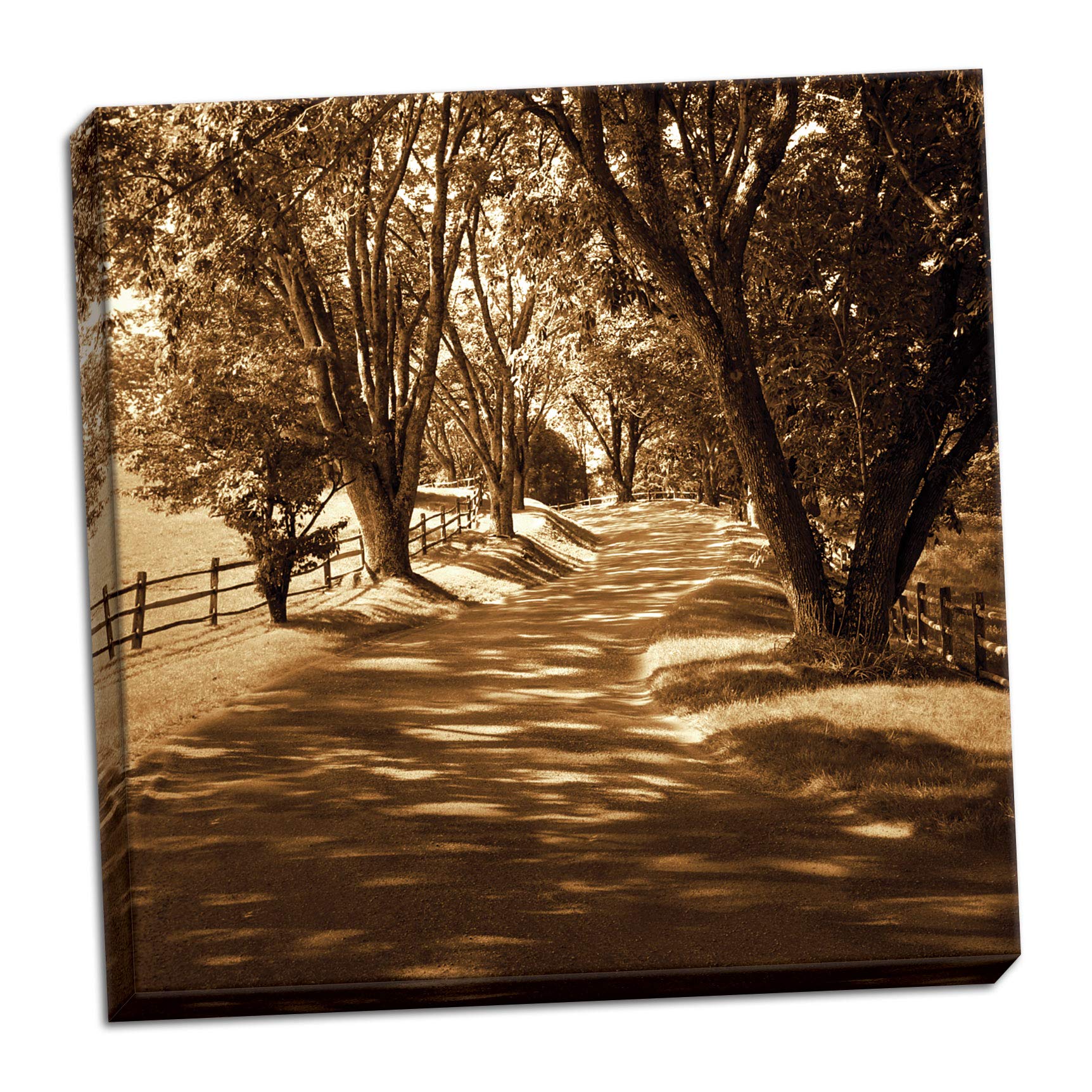 Ash Lawn II Motivational Tree Canvas Wall Art - 12x12 Inch Inspirational Travel Road Country Modern Decor for Living Room, Bedroom & Office