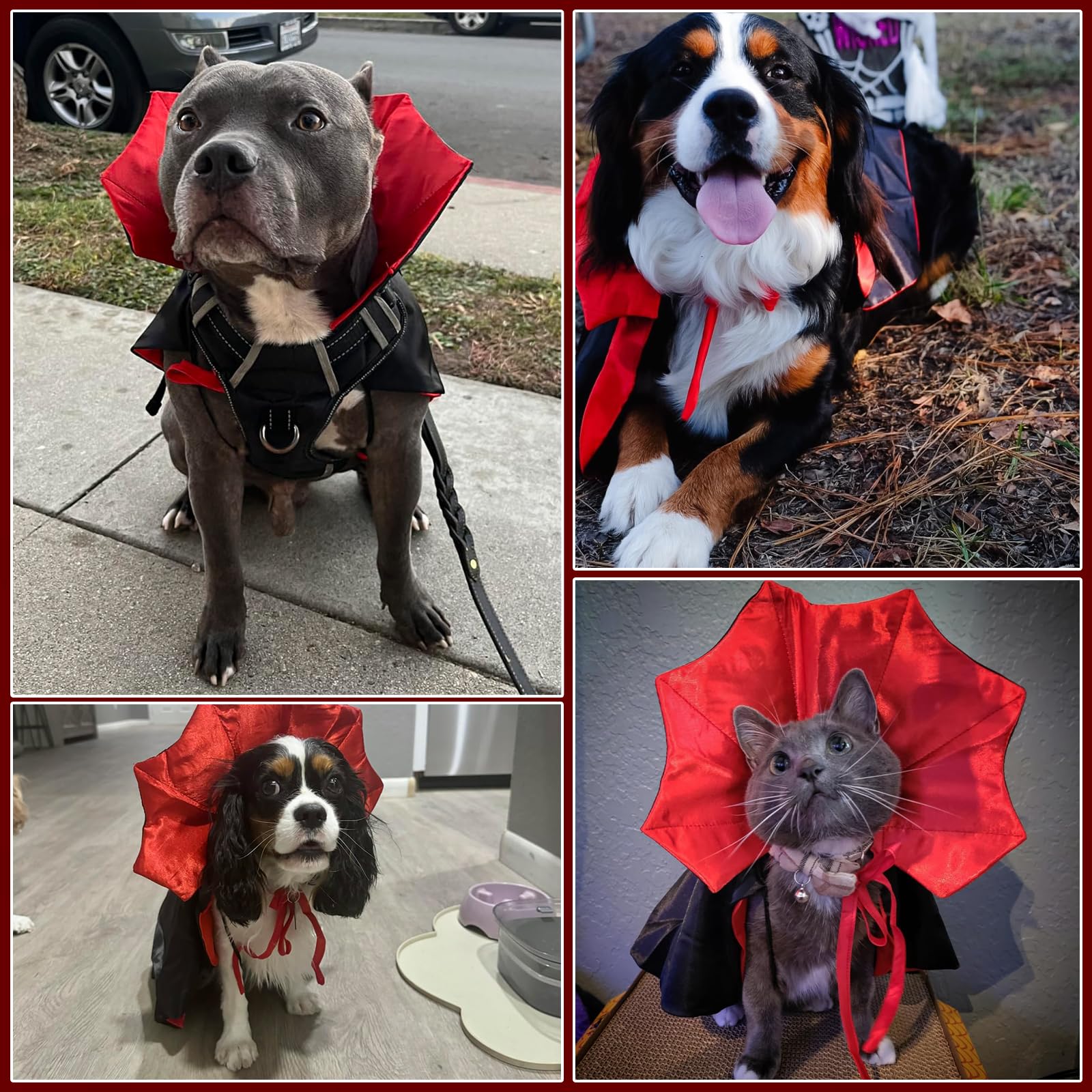 Dog Vampire Costume & Devil Cloak - Halloween Pet Costume for Small, Medium & Large Dogs | Cute Halloween Outfit for Parties & Photo Shoots