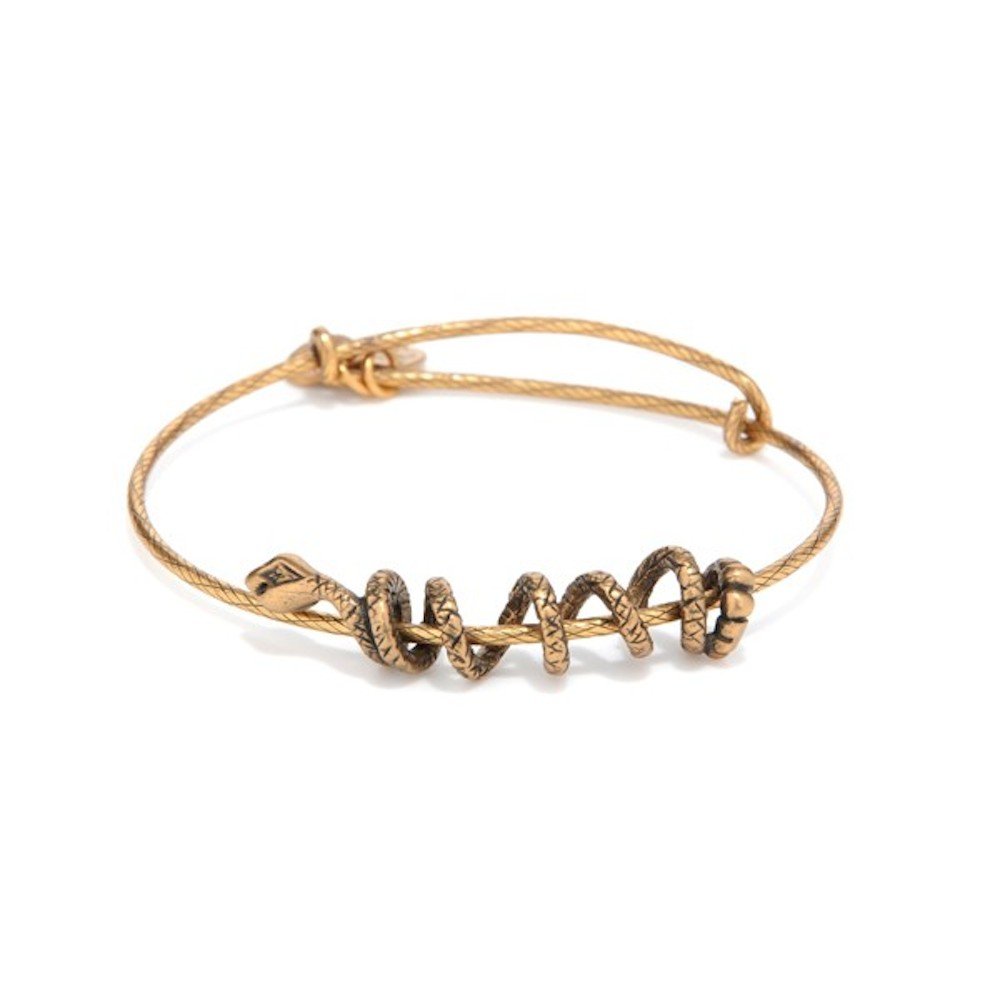 Alex and Ani Snake Coil Wrap Bracelet - Adjustable Bangle for Women, Spiritual & Fashion Jewelry Gift - Perfect for Layering, Boho Style, and Everyday Wear