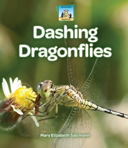 Dashing Dragonflies: Bug Books for Kids - Explore Nature & Learn About Insects | Perfect for Outdoor Adventures & Science Education