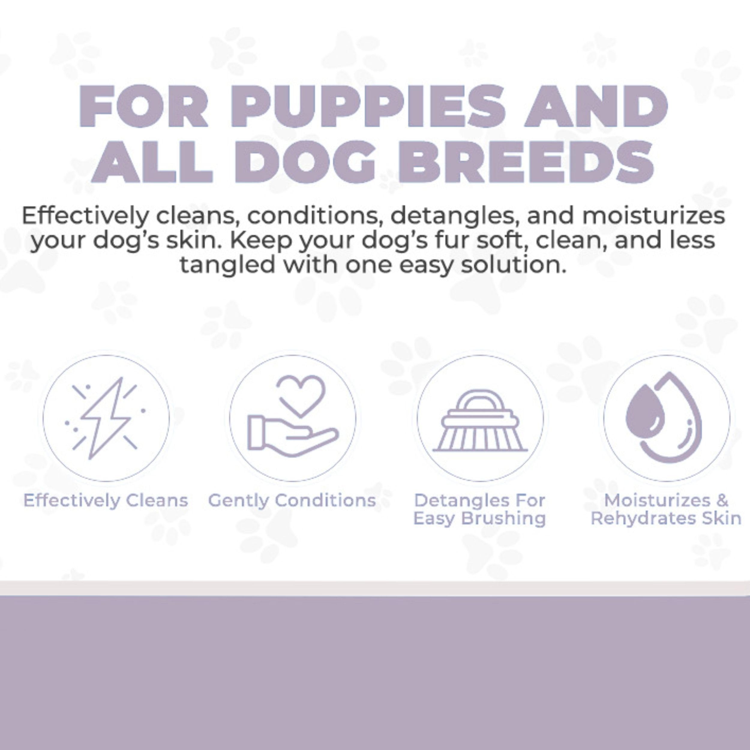 4-in-1 Lavender & Chamomile Dog Shampoo with Conditioner & Detangler - Best Hypoallergenic Shampoo for Goldendoodles, Poodles & Doodles - Matted Hair Solution for Dogs - Made in USA, 16oz - Perfect for Bath Time & Grooming Sessions