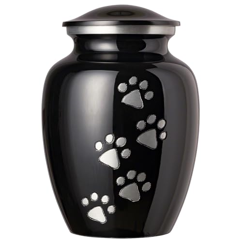 Ebony With Vertical Pewter Paws