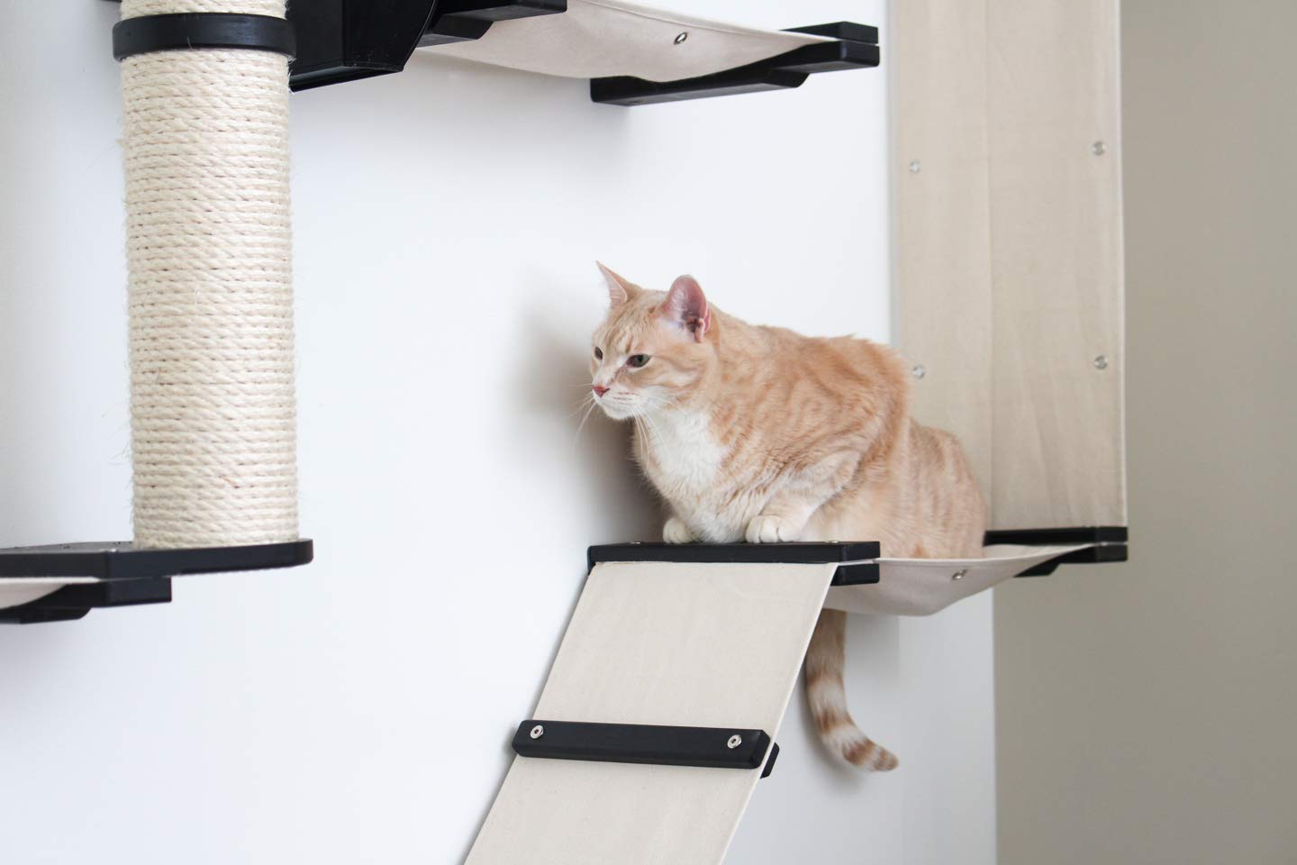 Multi-Level Wall Mounted Cat Climbing Furniture Set - Scratch Post, Hammock Lounge & Play Shelves for Indoor Cats | Space-Saving Cat Activity Center for Small Apartments & Pet-Friendly Homes