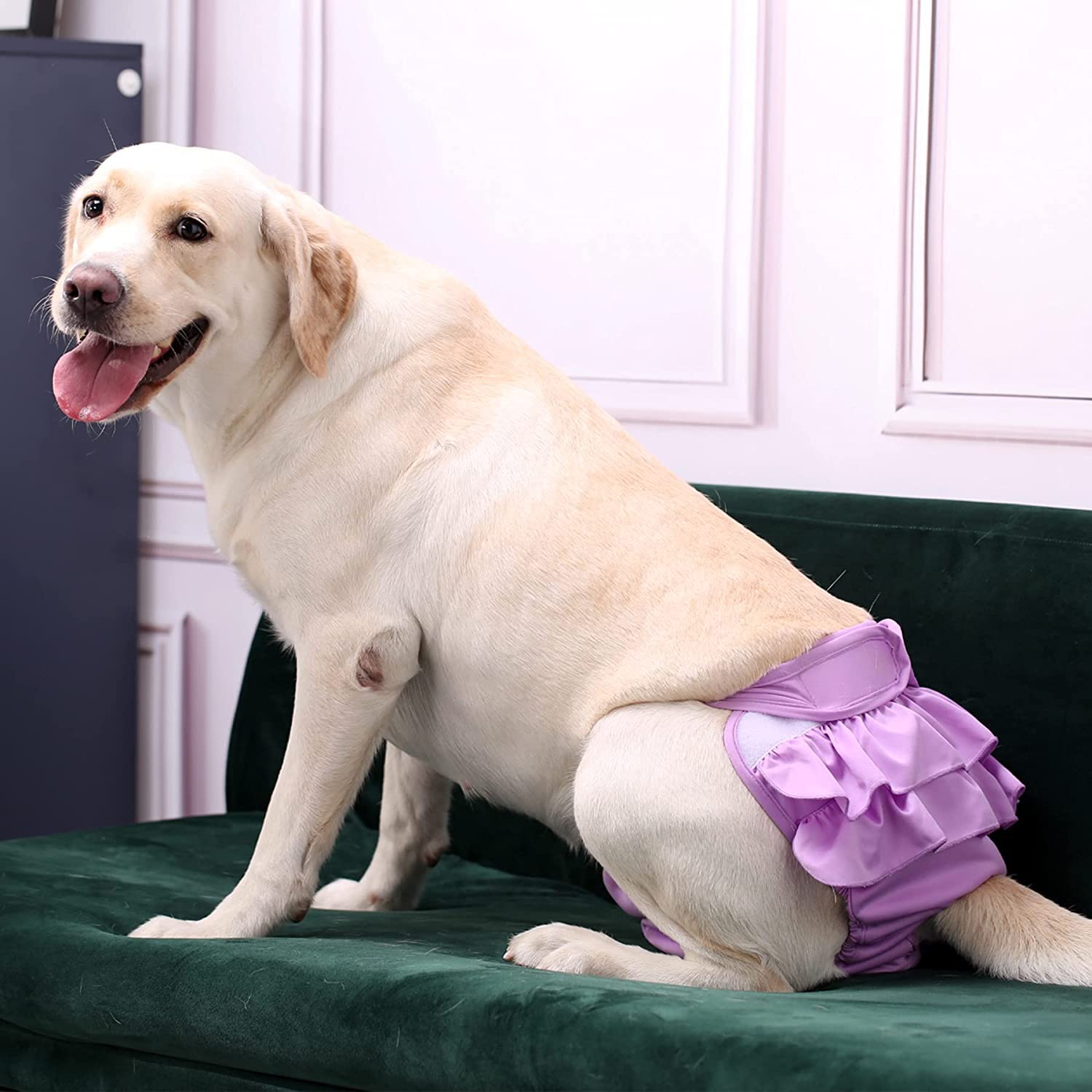 Washable Female Dog Diapers for Heat Periods & Incontinence - Reusable Pet Diapers for Excitable Urination - Perfect for Indoor Use, Travel & Training