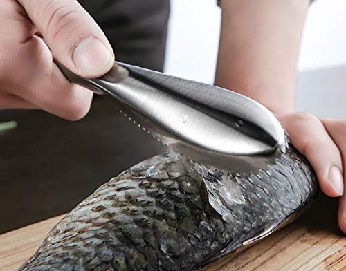 WOIWO Stainless Steel Fish Scale Scraper - Durable Kitchen Tool for Removing Fish Scales Easily - Perfect for Home Cooking, Fishing Trips & Professional Chefs