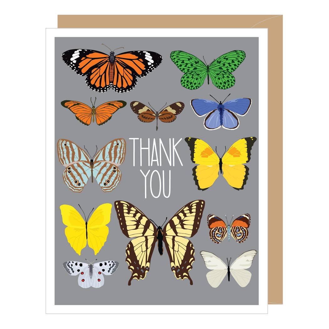 Colorful Butterflies Thank You Cards - Set of 2 Apartment Greeting Cards (Single or Boxed Options) for Housewarming, Thank You Notes & Special Occasions