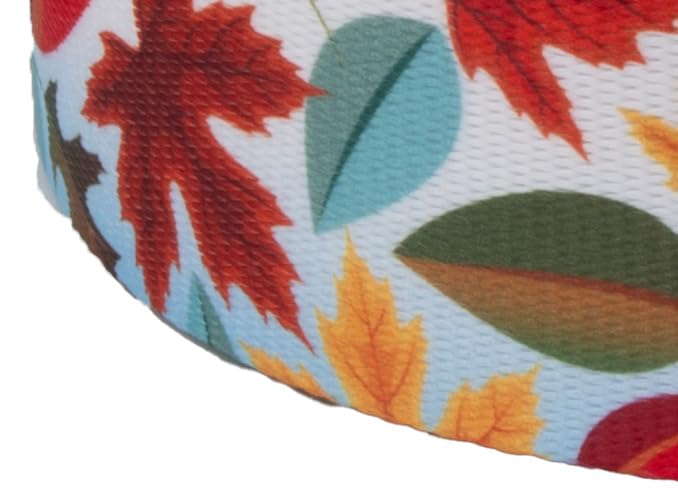 Country Brook Design - Brisk Autumn Polyester Webbing Dog Collar & Leash Set - Durable & Stylish for Small to Medium Dogs - Perfect for Walks, Training & Outdoor Adventures