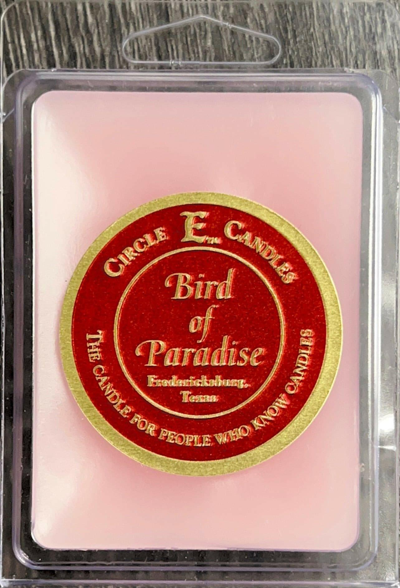 Circle E Mini Wax Melts - Bird of Paradise Scented Wax Cubes for Electric Warmers | Home Fragrance for Living Room, Bedroom & Office