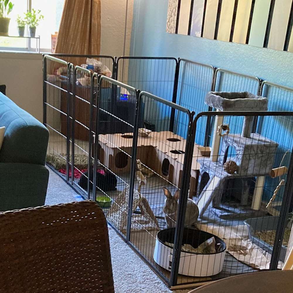 Homeplus Indoor Dog Playpen - Portable Pet Fence for Small & Medium Dogs - Perfect for Puppy Training, Home Safety & Apartment Living