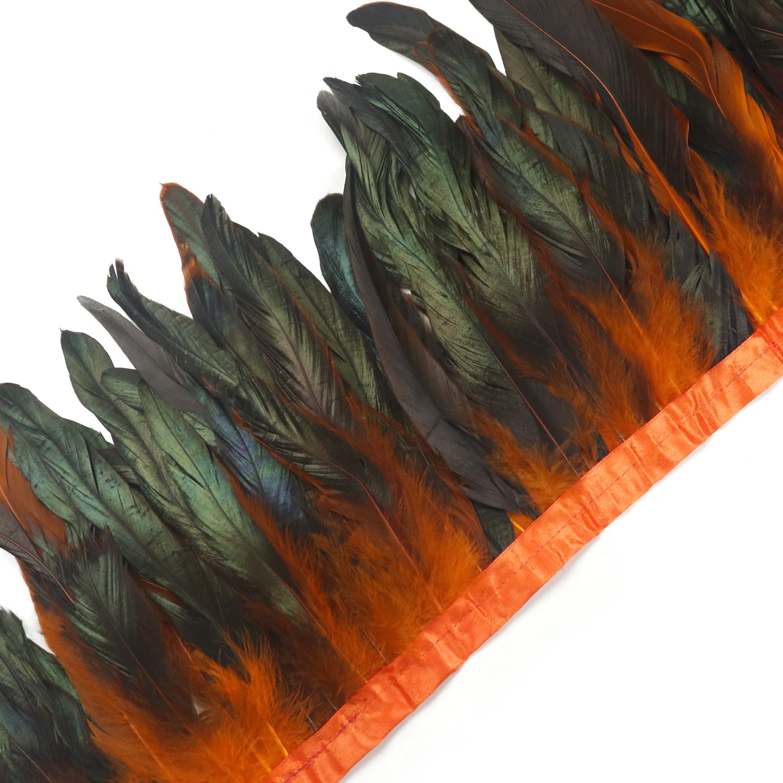 Rooster Feathers 6-8
