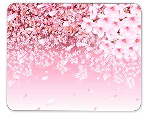 Cherry Blossom Background