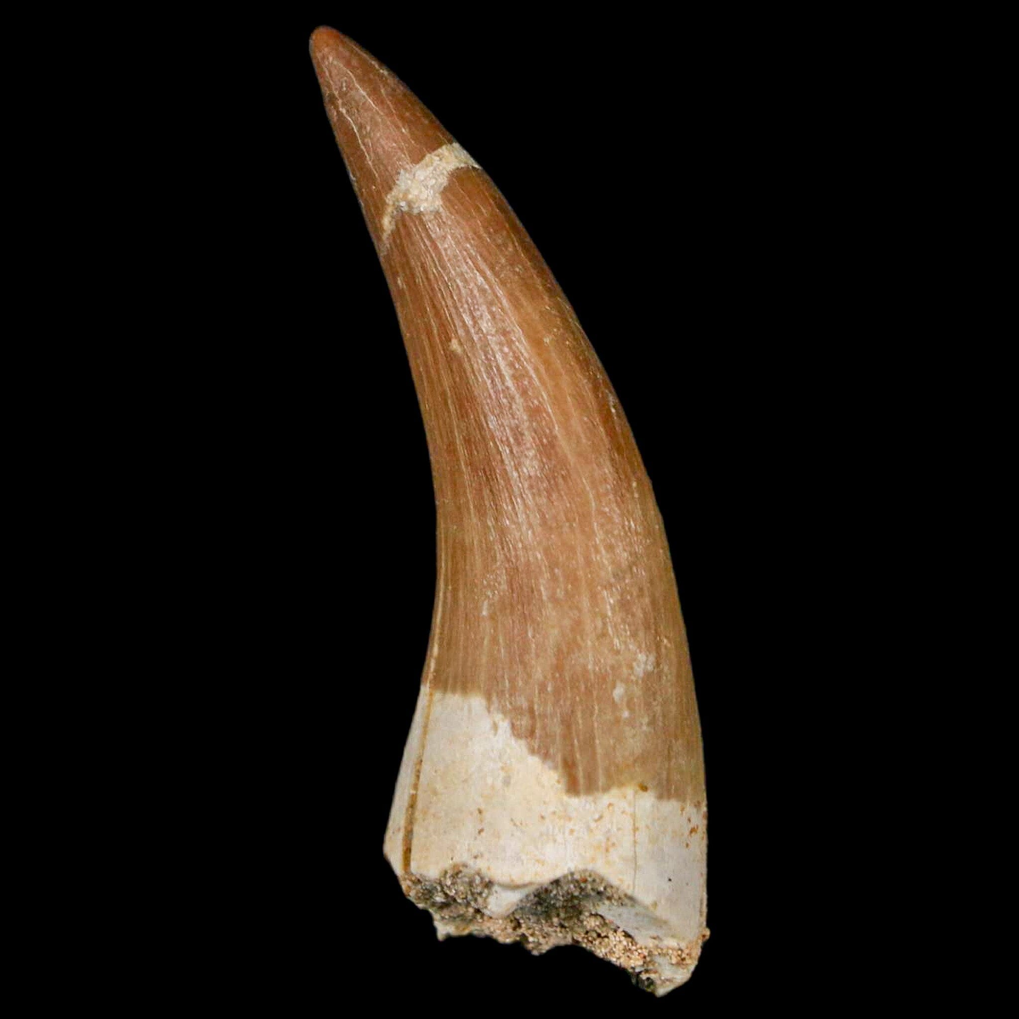 XL 2.2