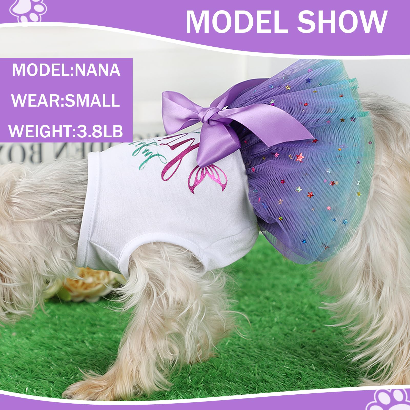 Small Dog Dresses for Puppies & Girls - Cute Pet Clothing Outfits & Costumes for Small Breed Dogs | Perfect for Parties, Holidays & Daily Wear