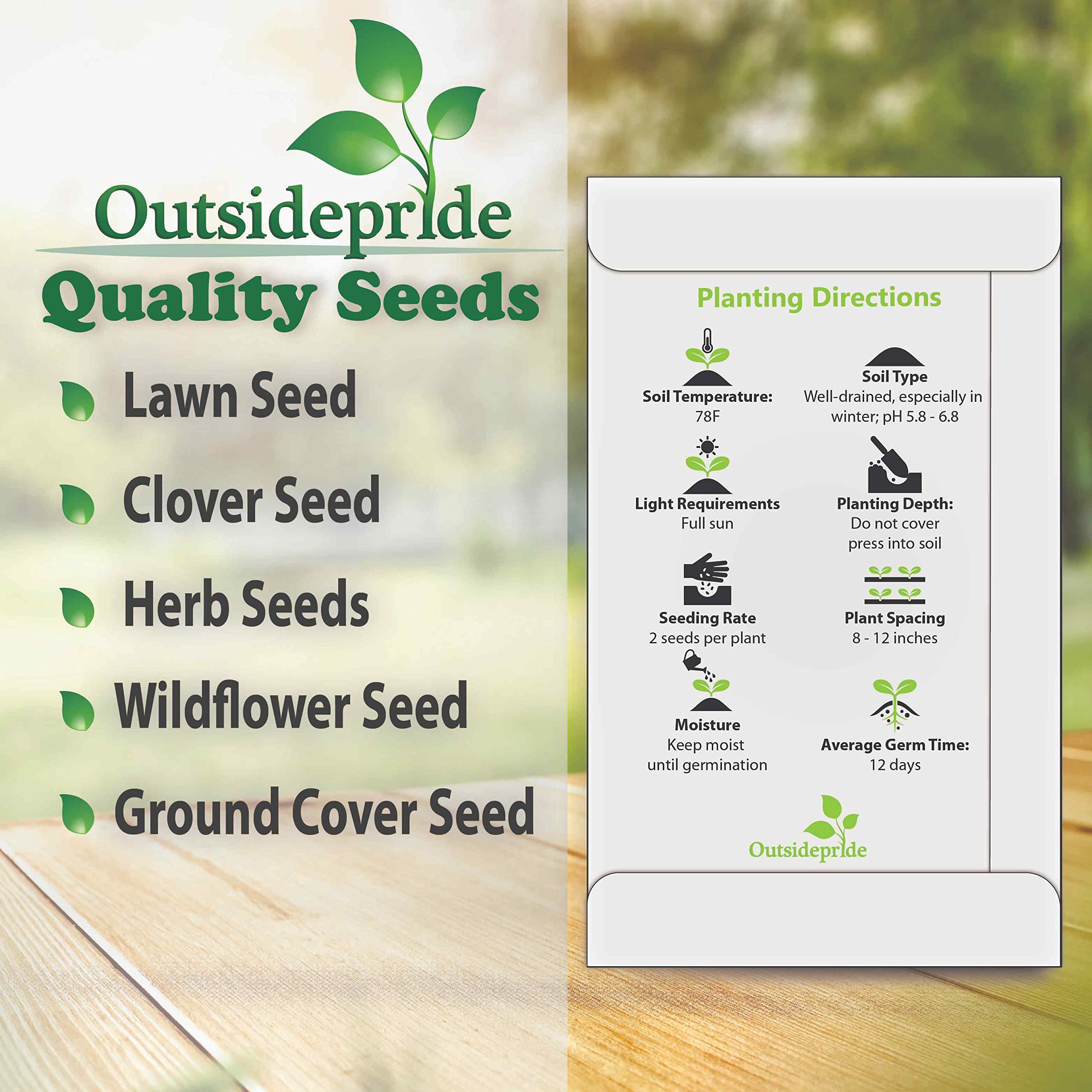 Outsidepride 50 Seeds Perennial Gazania Bronze - Heat & Drought Tolerant Ground Cover Flower Seeds for Planting - Perfect for Rock Gardens, Borders & Xeriscaping Landscapes