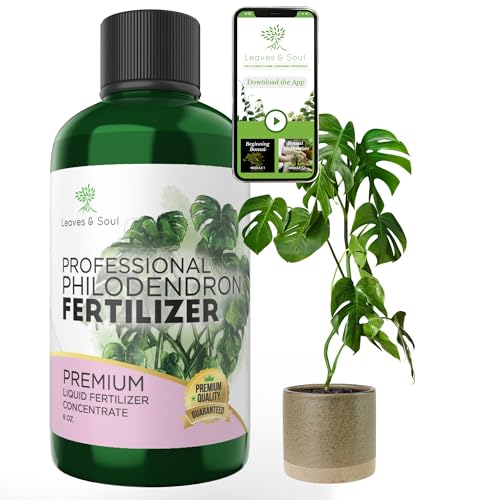Philodendron