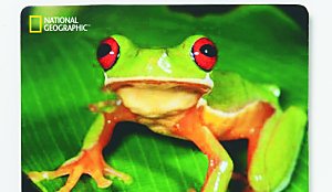 Ergonomic Gaming Mouse Pad with Cute Tree Frog Design - Non-Slip Rubber Base, Waterproof Office Desk Mat for PC, Laptop & Computer Setup | Perfect for Gamers, Work from Home & Office Use
