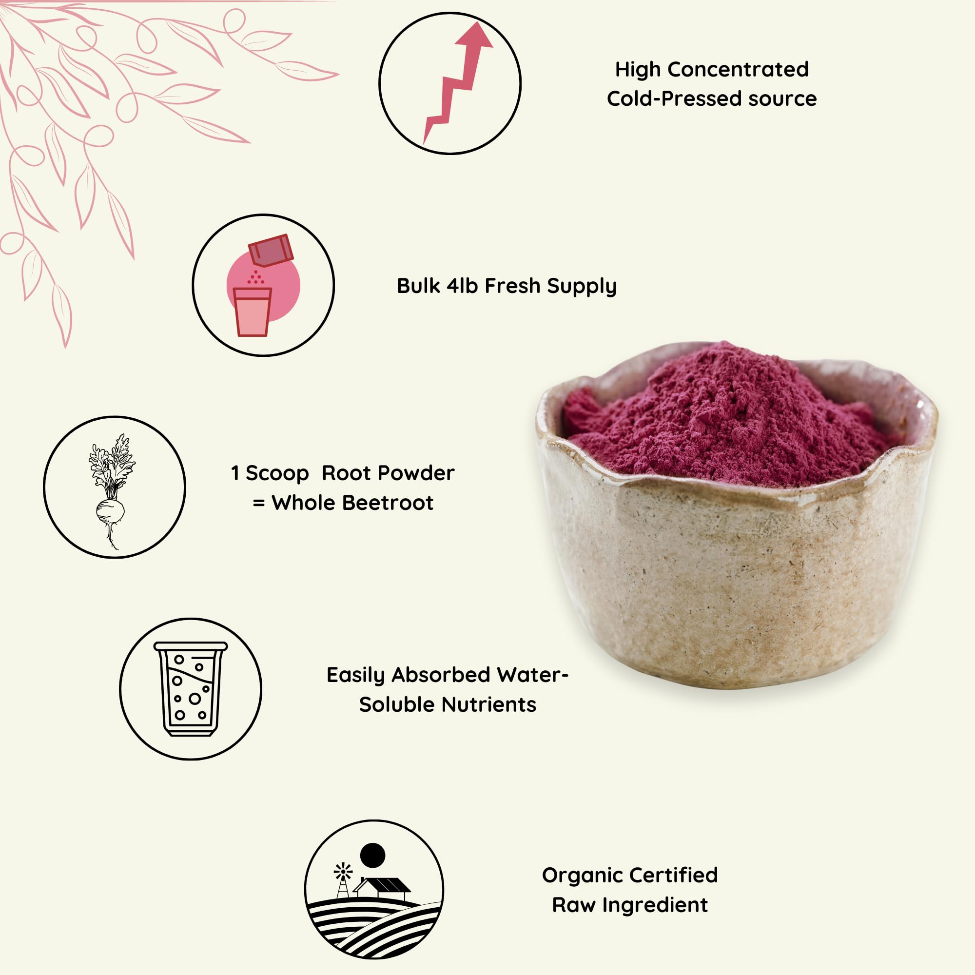 Organic Beetroot Powder for Baking, Smoothies & Energy Drinks | Nitric Oxide Booster Supplement | Gluten-Free, Non-GMO Beet Root Powder (5.3oz/150g) – Supports Stamina, Workout Recovery & Heart Health | Perfect for Athletes, Fitness Enthusiasts & Healthy Lifestyle