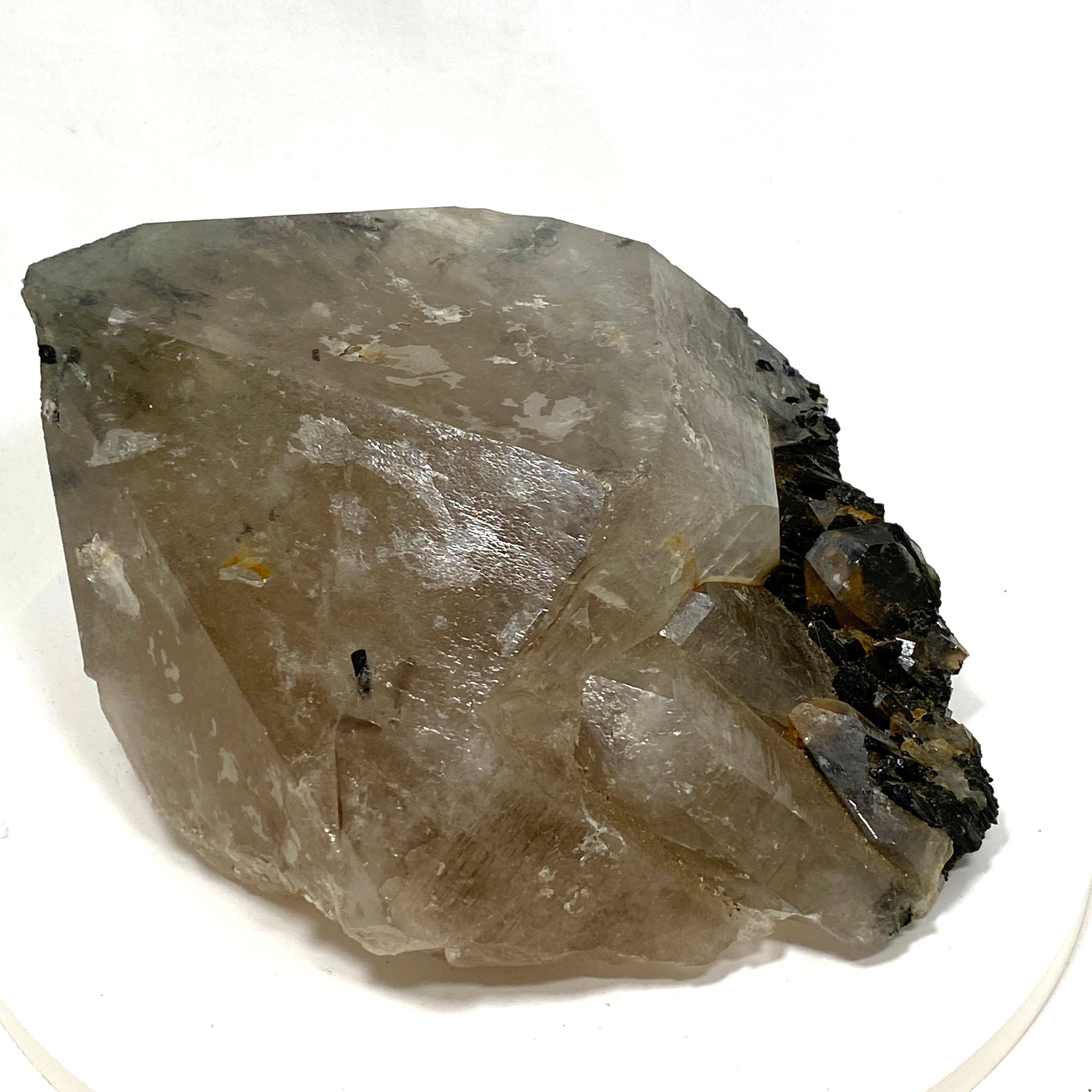 Natural Green Tourmaline in Smokey Quartz Large Healing Crystal - SQGT 01 for Meditation, Energy Work & Home Decor