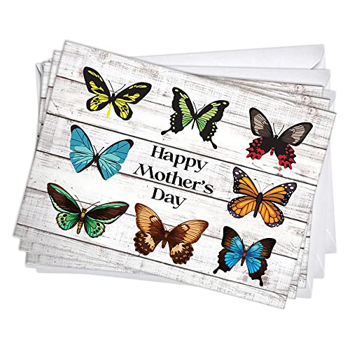 Butterfly Collection