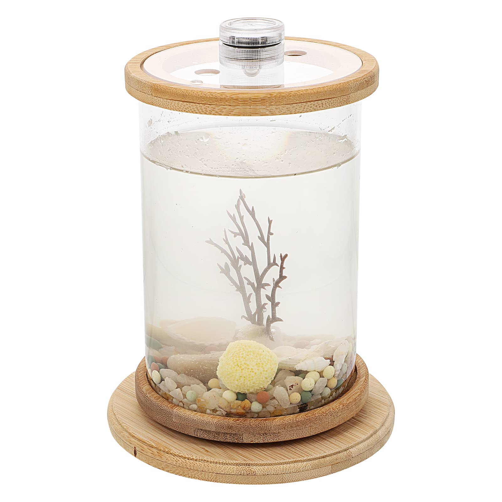 LUOZZY Cylinder Fish Tank with LED Light - 1 Gallon Desktop Aquarium for Betta Fish, Small Office Decor, Home Decoration, Zen Relaxation Gift Idea