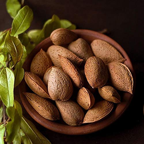 Anna and Sarah Raw Natural Whole Jumbo California Almonds in Shell - 4 Lbs Resealable Bag | Healthy Snack, Baking Ingredient & Gift Idea