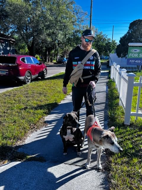Durable Double Dog Leash with Bungee & Reflective Attachment - Tangle-Free Hands-Free Shock Resistant Leash Extension for Walking, Running & Hiking with Two Dogs
