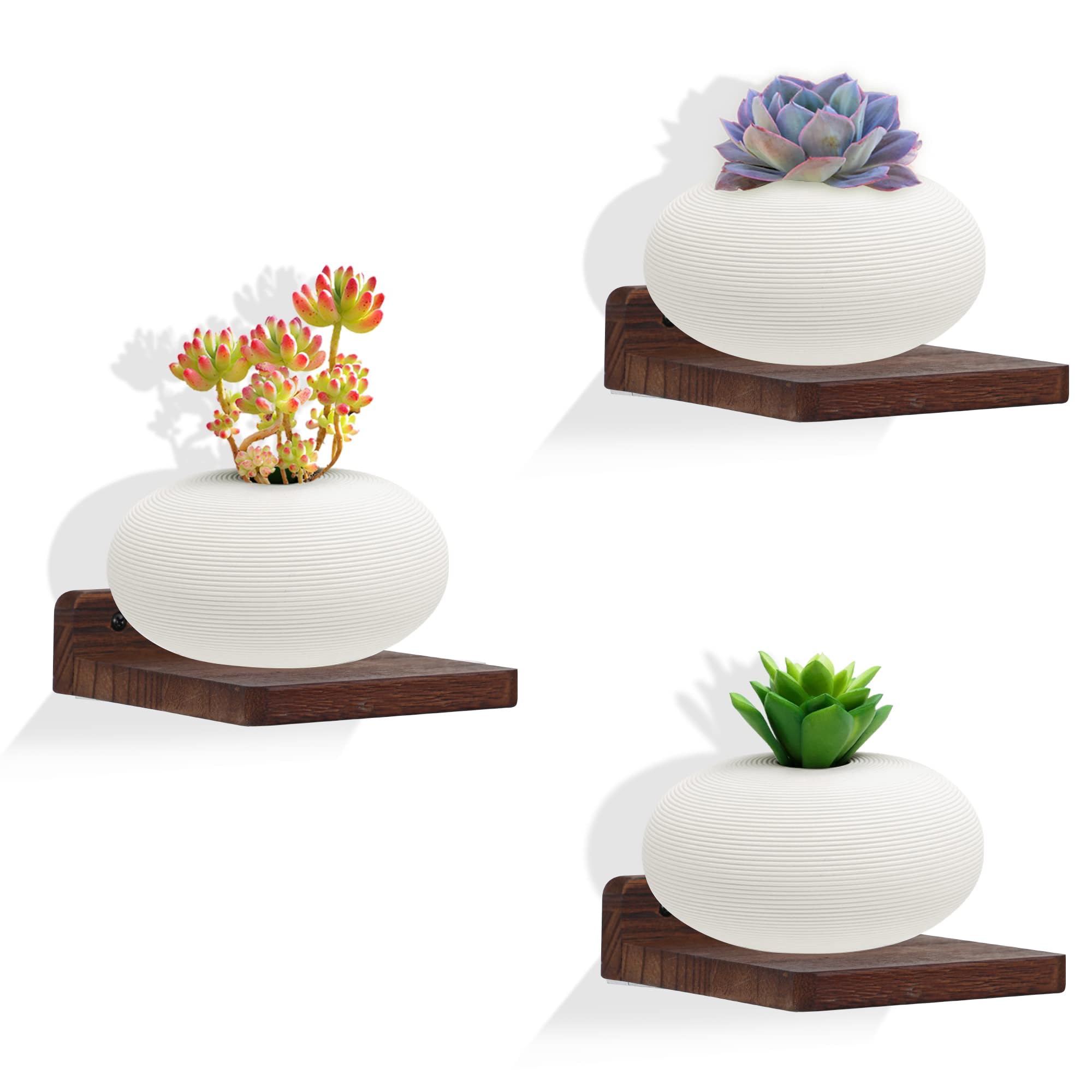 5x5 Inch Dark Walnut Floating Shelves - Set of 3 Small Wall Shelves for Bedroom, Living Room, Bathroom & Kitchen Decor | Space-Saving Storage for Books, Plants & Home Accessories
