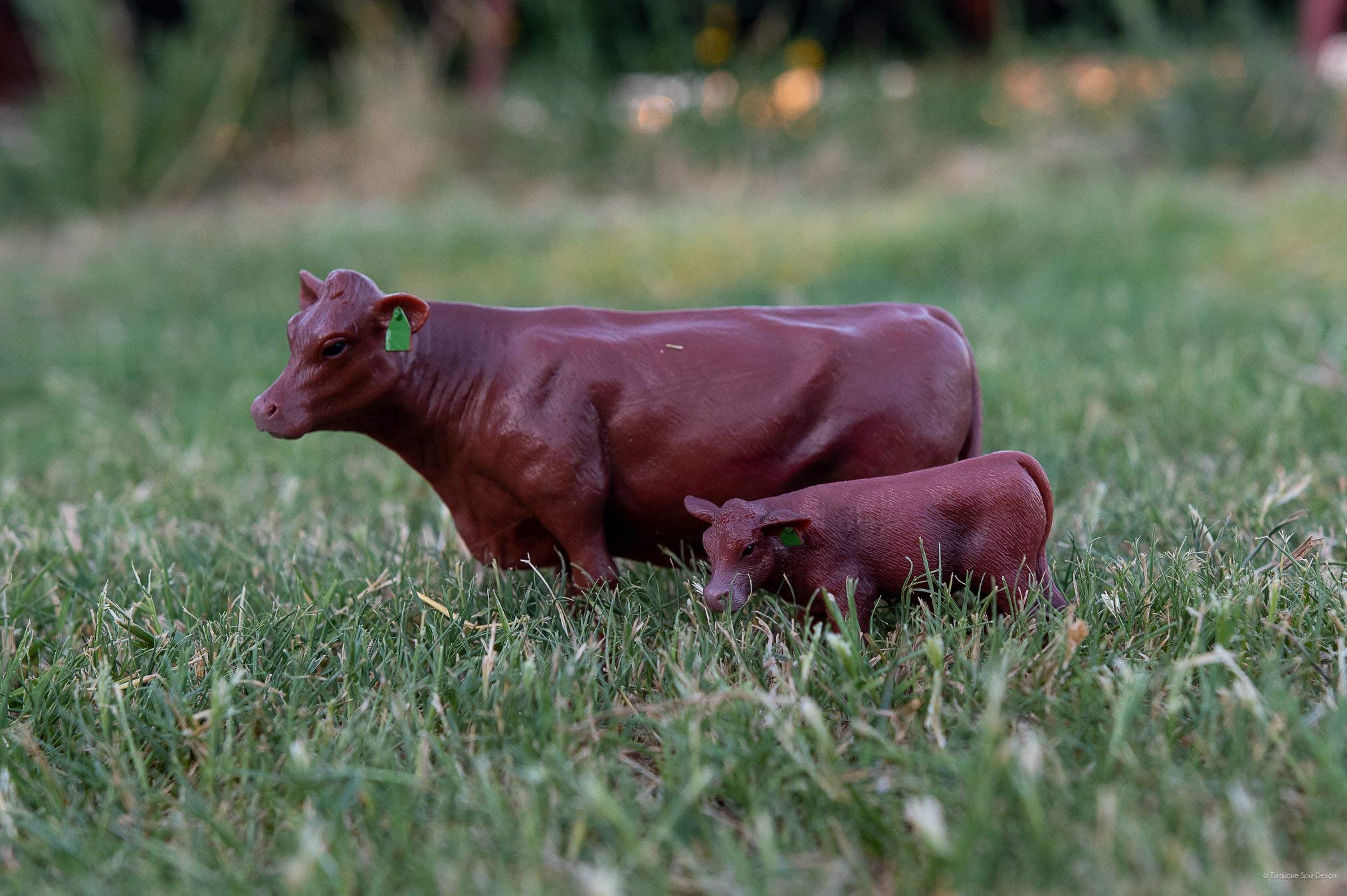 Little Buster Toys Angus Calf - 1/16 Scale Realistic Red Angus Calf Figure for Farm Animal Collectors & Educational Play