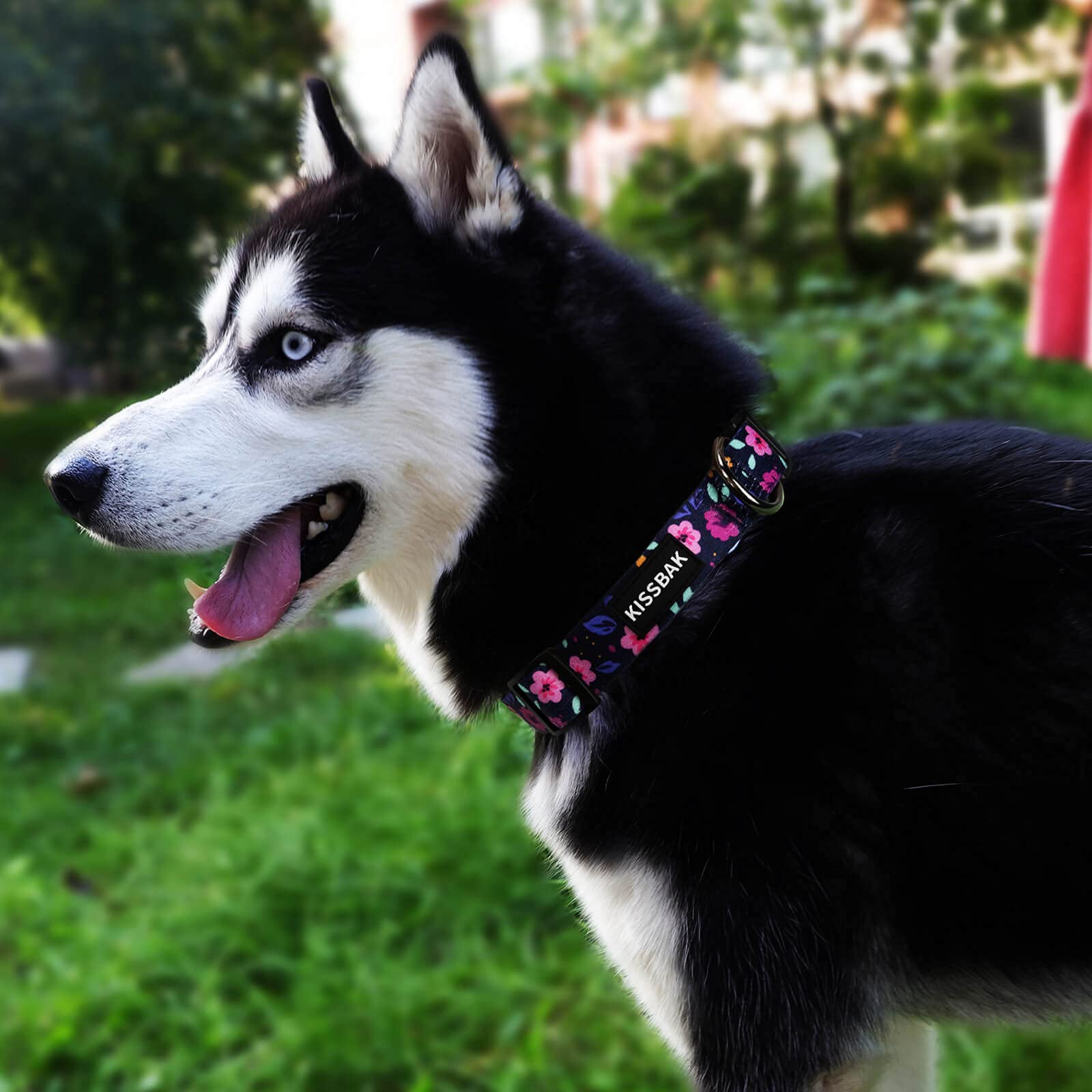 KISSBAK Floral Dog Collar for Large Dogs - Adjustable Soft Pet Collar with Cute Design for Girl Puppies (L, Floral) | Perfect for Daily Walks, Training & Special Occasions