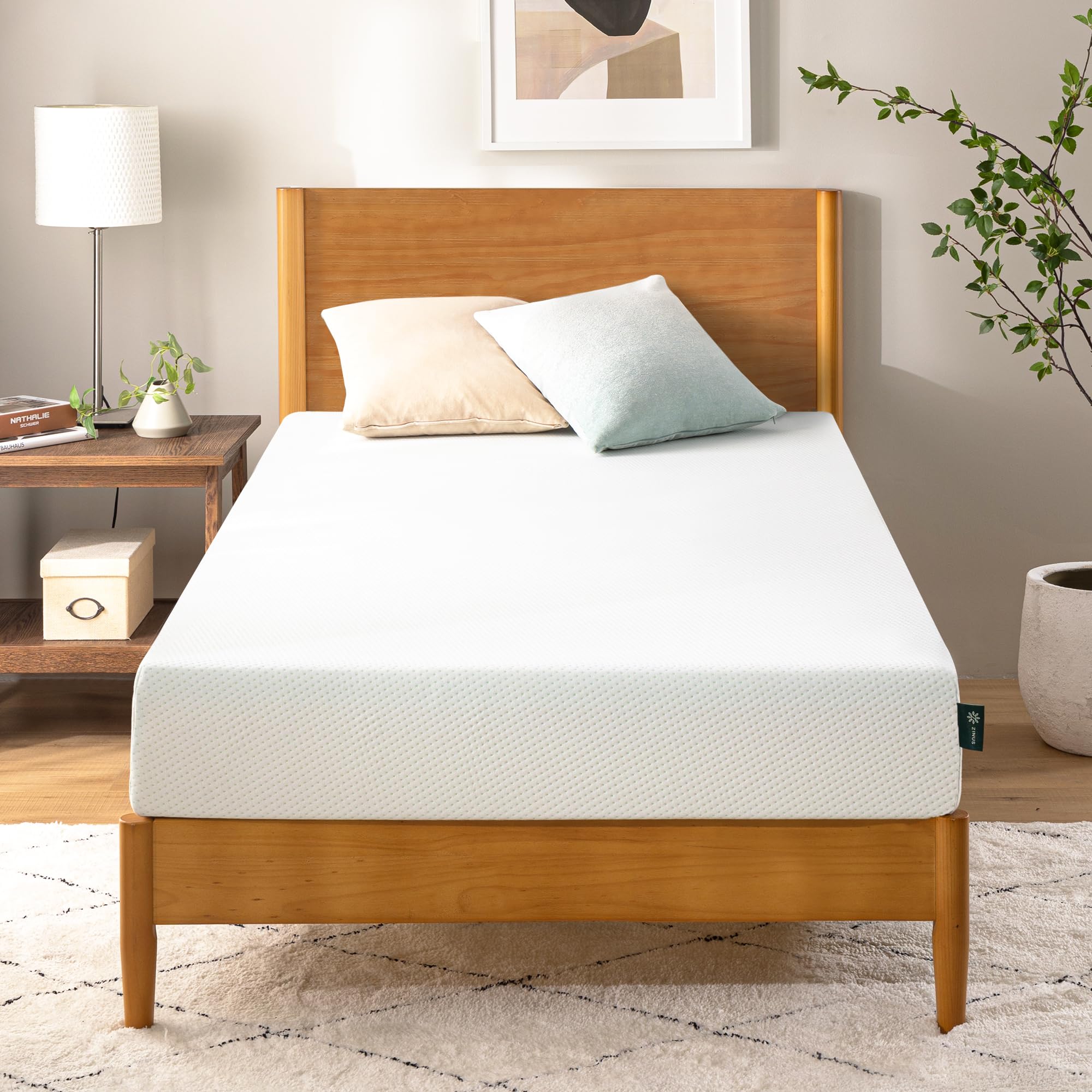 ZINUS 6 Inch Green Tea Memory Foam Mattress - Medium Firm, Pressure Relief, Fiberglass Free, CertiPUR-US Certified (75”x30