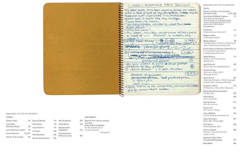 Kathy Acker Book - Get Rid of Meaning for Literary Studies