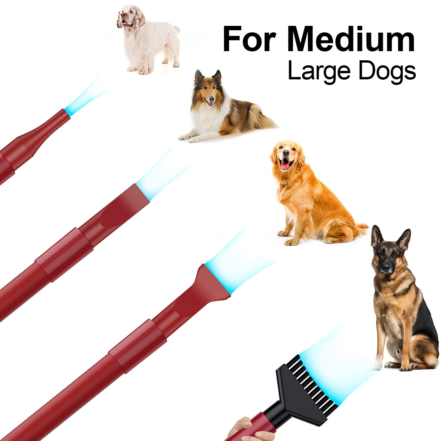 Professional 5.0 HP Dual Motor Dog Dryer for Large Dogs - Adjustable Speed & Heater - Perfect for Grooming Salons, Pet Spas & Home Use