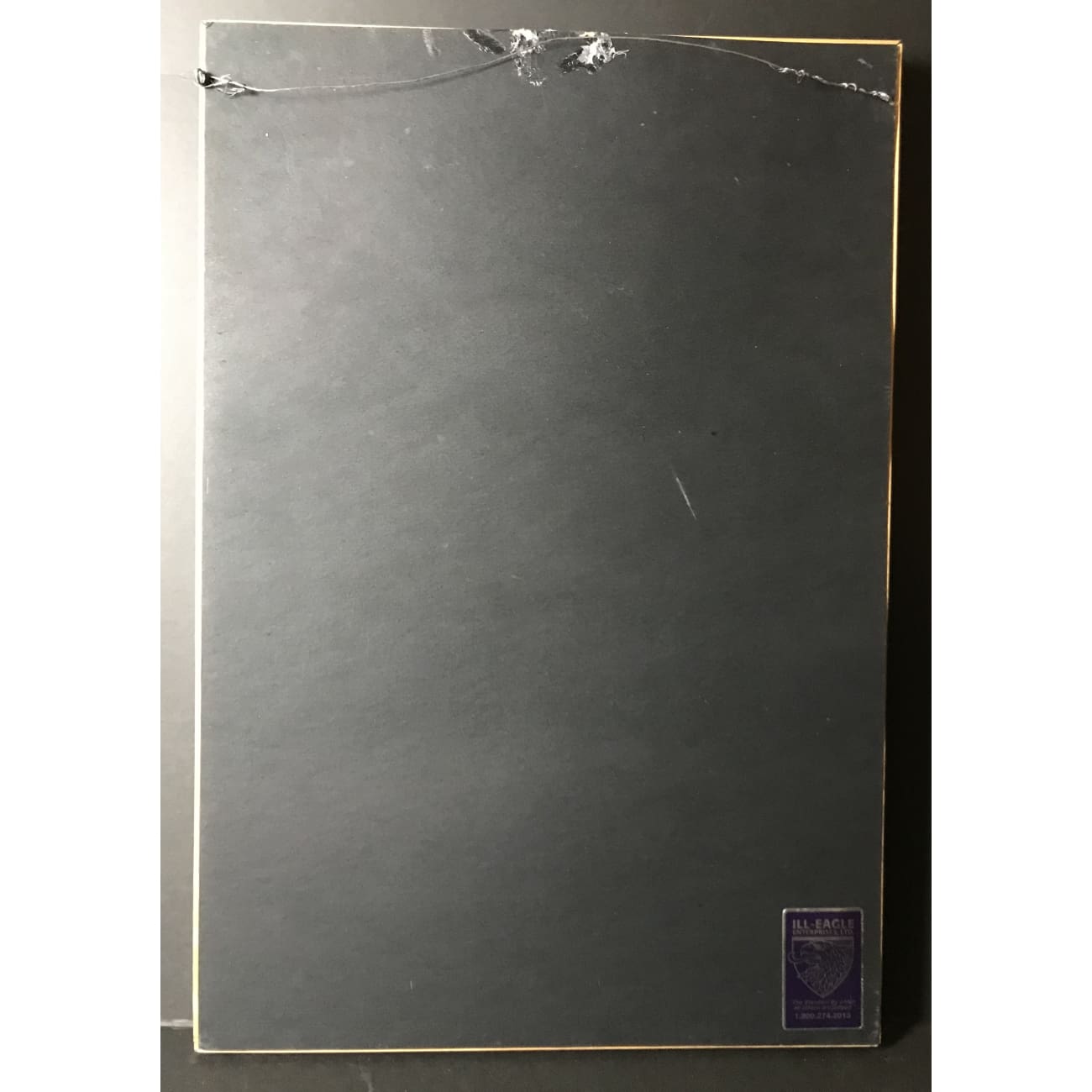 Janis Joplin Pearl Album RIAA 4x Platinum Award - Rare Collectible Music Memorabilia for Fans & Vinyl Enthusiasts - Perfect for Music Room Decor & Collector's Display