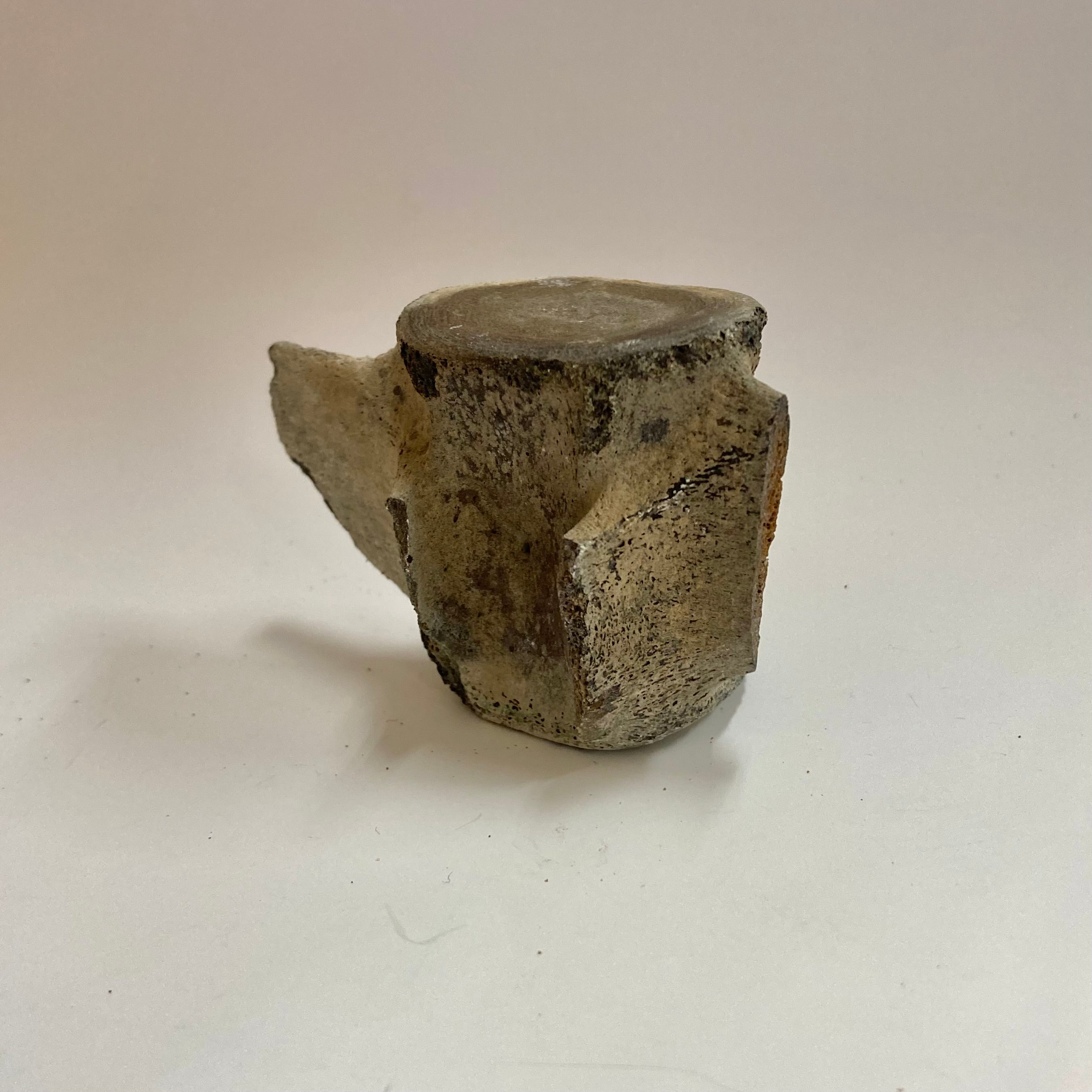 Authentic Porpoise Vertebra Bone - Natural Collectible Specimen for Science, Education & Home Decor | Perfect for Marine Biology Study, Fossil Collections & Unique Gifts