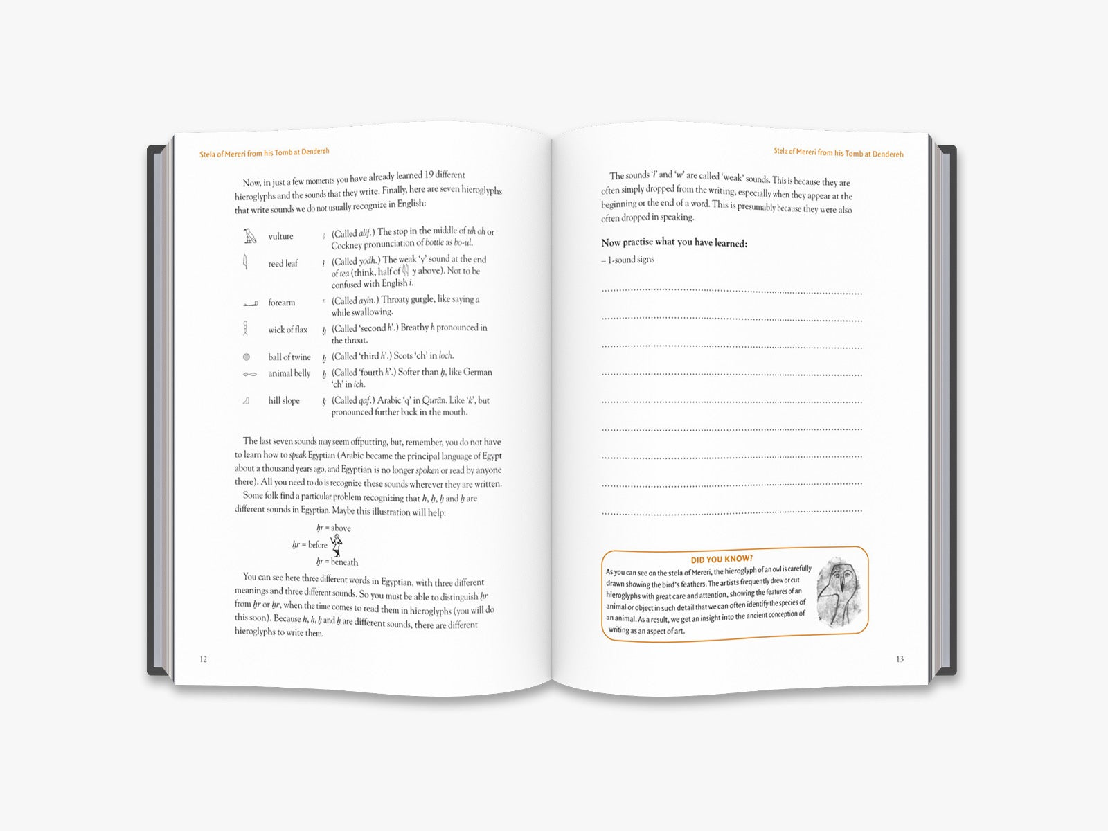 Learn Egyptian Hieroglyphs for Beginners - Ancient Language Guide & Translation Tips | Perfect for History Buffs, Students & Travelers Exploring Egypt