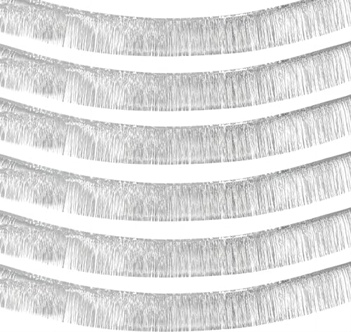 10 Pack Silver