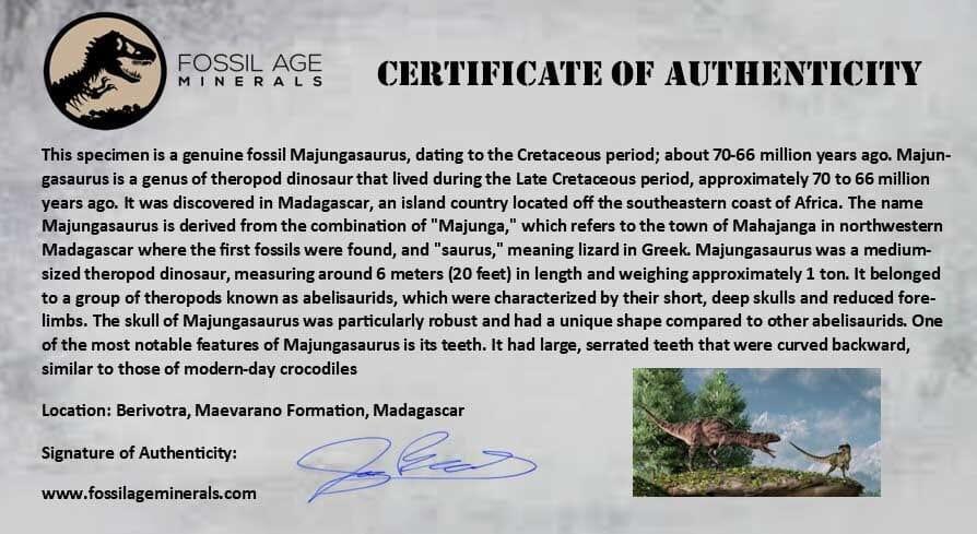 Authentic 0.9
