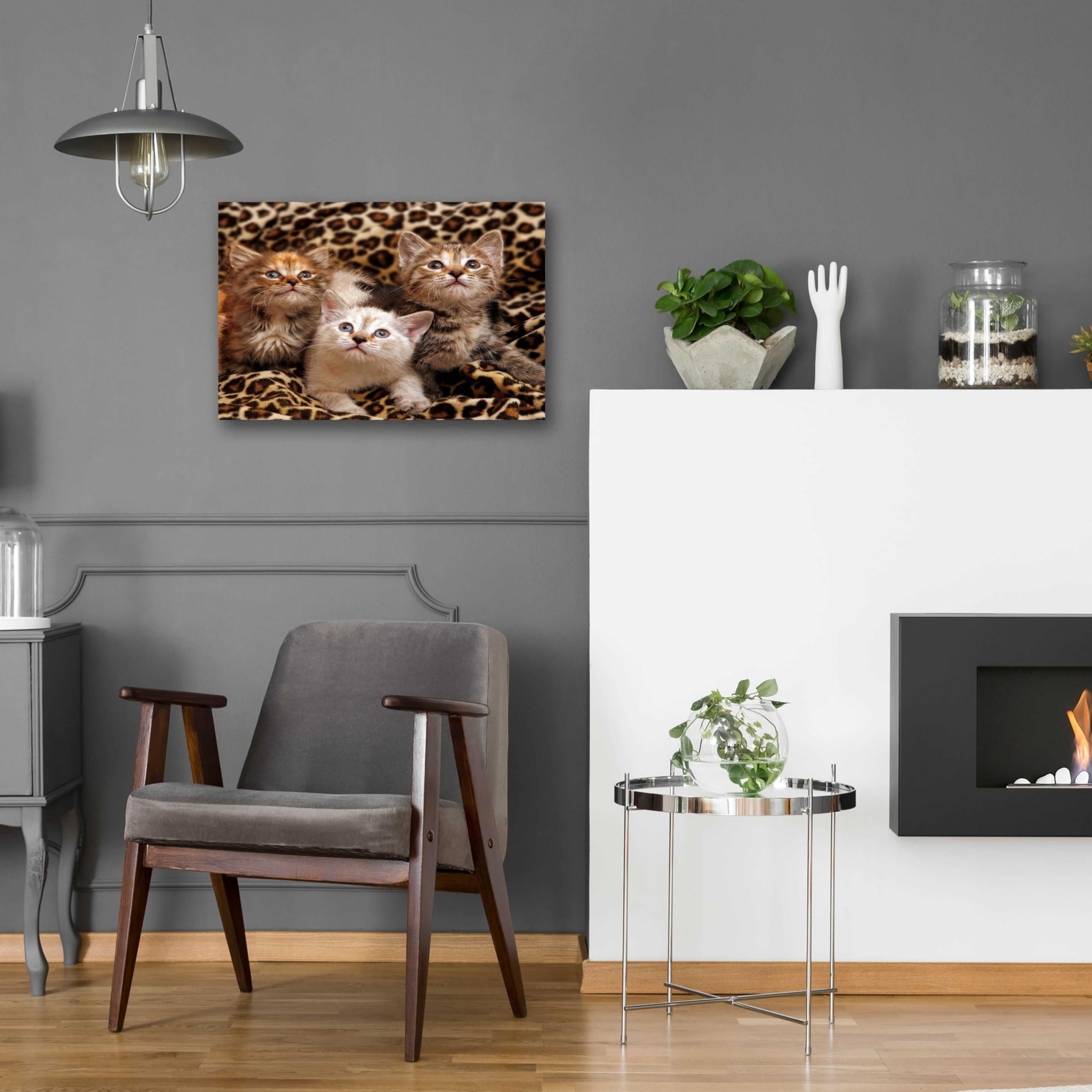 Epic Art 'Kittens' by Mike Jones - 24x16 Inch Acrylic Glass Wall Painting - Perfect for Living Room, Bedroom & Office Decor