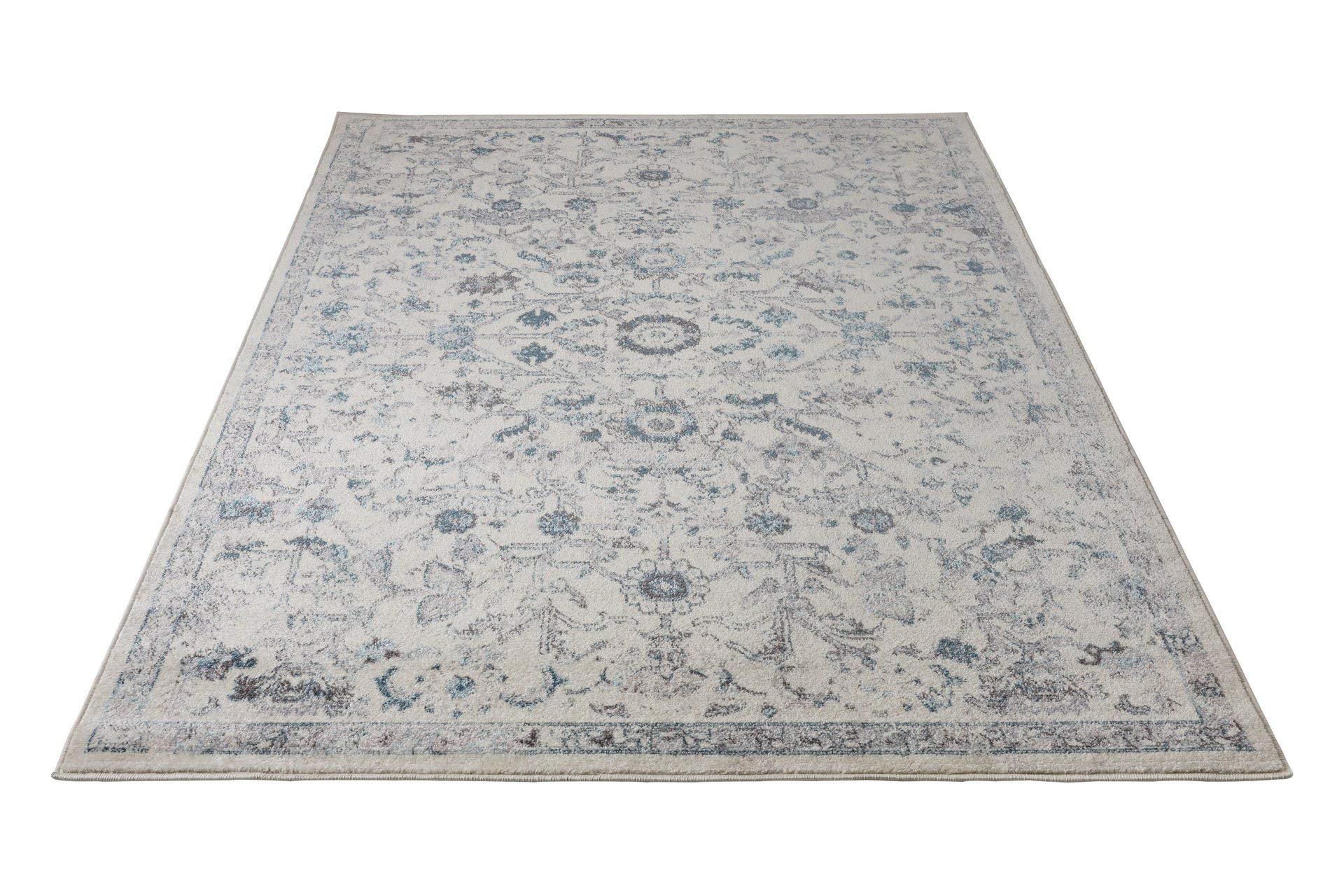 Premium Ladole Traditional Area Rug - 6'7