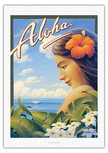 Vintage Hawaiian Travel Poster with Plumeria Flowers by Kerne Erickson - Fine Art Rolled Canvas Print 27x40 Inches - Perfect for Beach House Decor, Tropical Theme Rooms & Hawaii Lovers