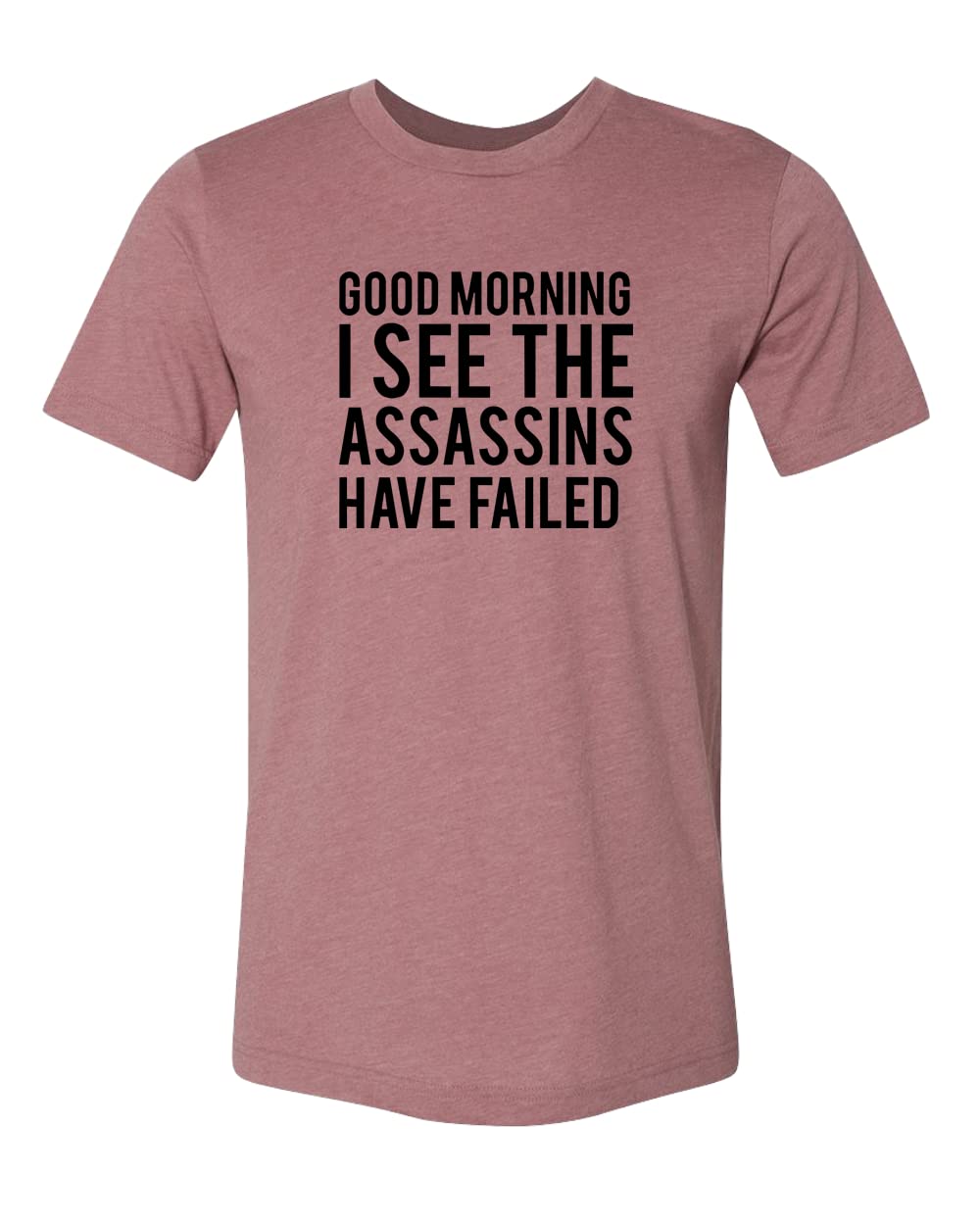 Good Morning I See The Assassins Have Failed T-Shirt - Sarcastic Funny Quote Tee with Dark Humor - Perfect Gift for Comedy Lovers | Great for Parties, Cosplay & Everyday Wear
