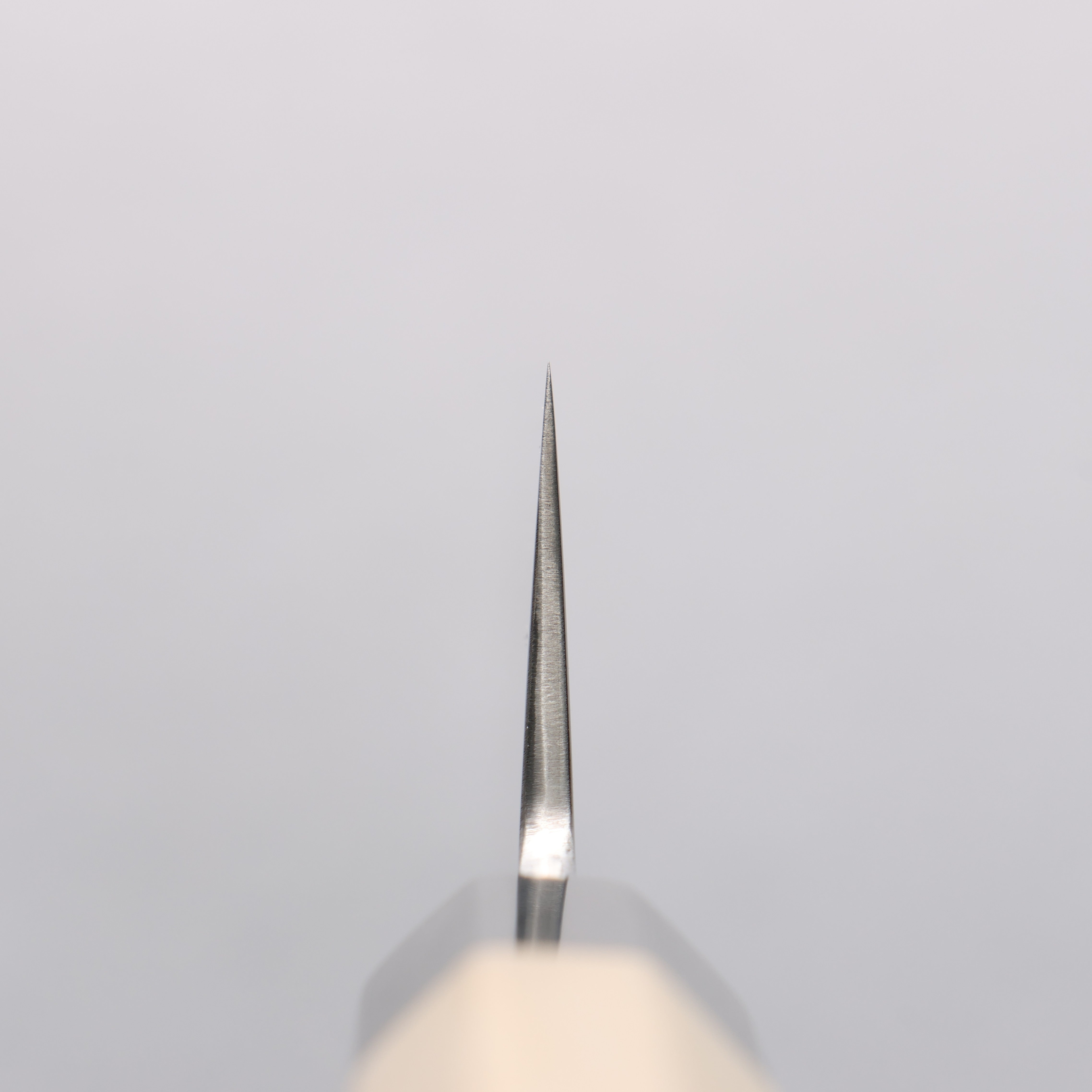 Premium Kikuzuki Silver Steel No.3 Kiritsuke Gyuto Knife 210mm - Japanese Chef Knife with Magnolia Wood Handle - Perfect for Sushi, Sashimi & Precision Cutting