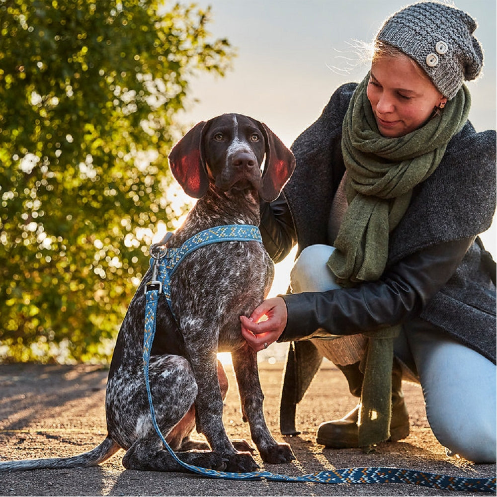 Premium Nordic Dog H Harness - Adjustable Reflective Pet Harness for Small to Medium Dogs - Perfect for Walking, Running & Outdoor Adventures