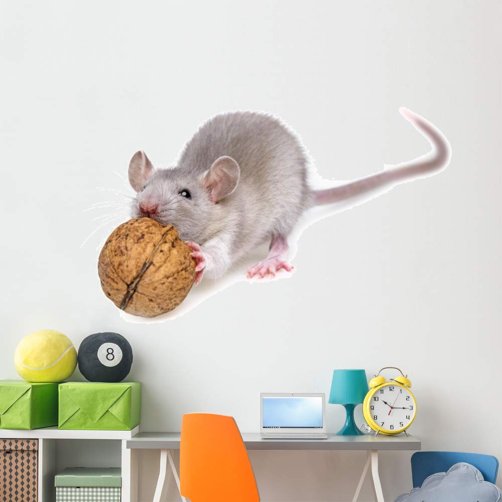 Wallmonkeys Peel and Stick Mouse Eating Nut Wall Decal - 72x45 Inch Animal Graphic Wall Art (WM94343) - Perfect for Kids' Rooms, Nurseries, and Playroom Decor