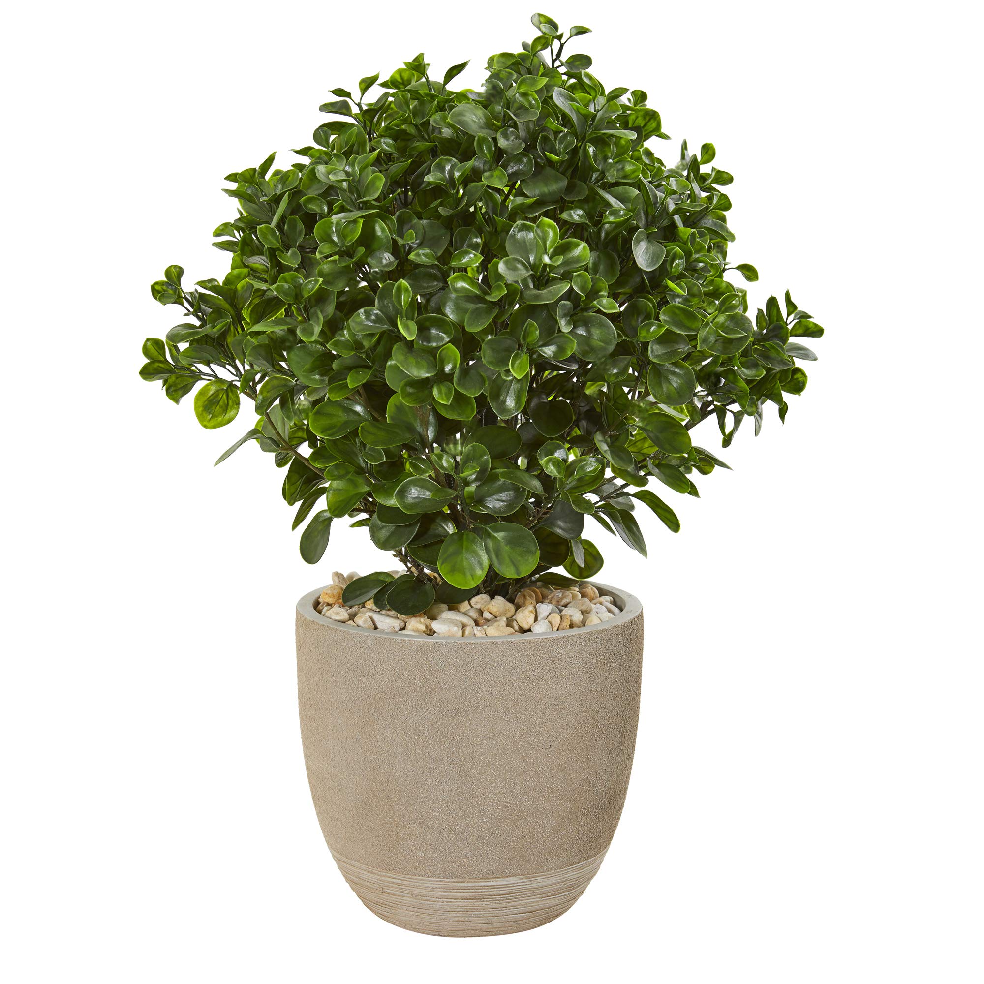Nearly Natural 30in. UV Resistant Peperomia Artificial Plant in Sand Stone Planter - Indoor/Outdoor Fake Plant for Home Decor, Office, Patio & Garden