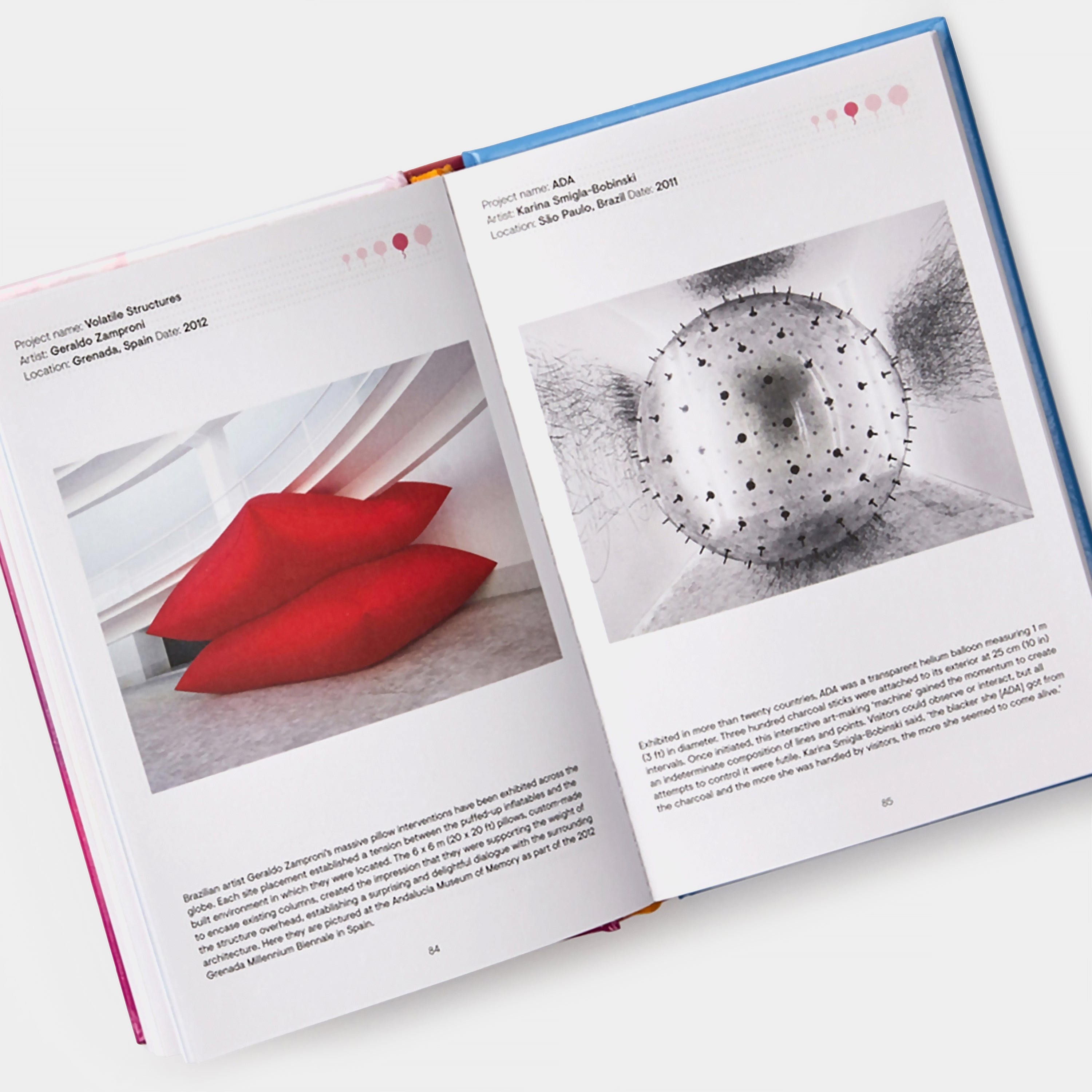 Bubbletecture: Inflatable Architecture and Design Book by Phaidon | Modern Art & Structural Innovation | Perfect for Designers, Architects & Art Enthusiasts